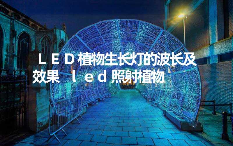 LED植物生长灯的波长及效果 led照射植物